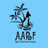 aarfanguilla (Anguilla Animal Rescue)