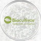 biocultivos (Biocultivos S.A. | Bioinsumos)