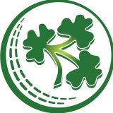 cricket_ireland (Cricket Ireland)