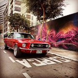 cvp_mustang (Carlos Villegas Petrlik)