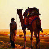 desert_tour_jaisalmer (Jaisalmer ( Desert Camping ))