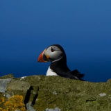 faroeislandstourist (Faroe Islands Tourist 🇫🇴)