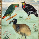 historycoolkids (History Cool Kids)