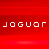 jaguar (Jaguar)