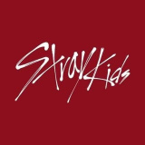 jypstraykids (SKZ 스트레이 키즈 - Fanpage • Marynn Loo)