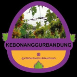 kebonanggurbandung (KEBON ANGGUR BANDUNG)