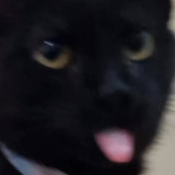 kingboo.05 (King boo)