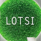 lotsisperky (LOTSI)