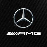 mercedesamgf1 (Mercedes-AMG PETRONAS F1 Team)