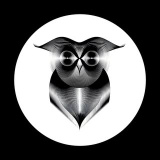 muslimofficiall (مـُسـلِـم - MUSliMOFFiCiAl)