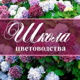 my_flower_blog (Дача Сад Дом в цветах 🌸)