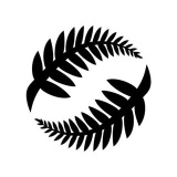 newzealandfootball (New Zealand Football)