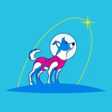 orbitalaika (Órbita Laika)