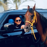 realjunaidofficial (Muhammad Junaid)