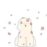 rooosyzh09 (Lusi Zhao)