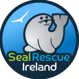 sealrescueireland (Seal Rescue Ireland)