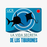 tiburones.ucr (Vida Secreta De Los Tiburones)