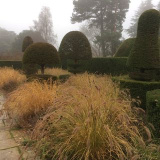 tomstuartsmith (Tom Stuart-Smith)