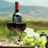 topwineries (Top Wineries)