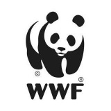 wwfbolivia (WWF Bolivia)